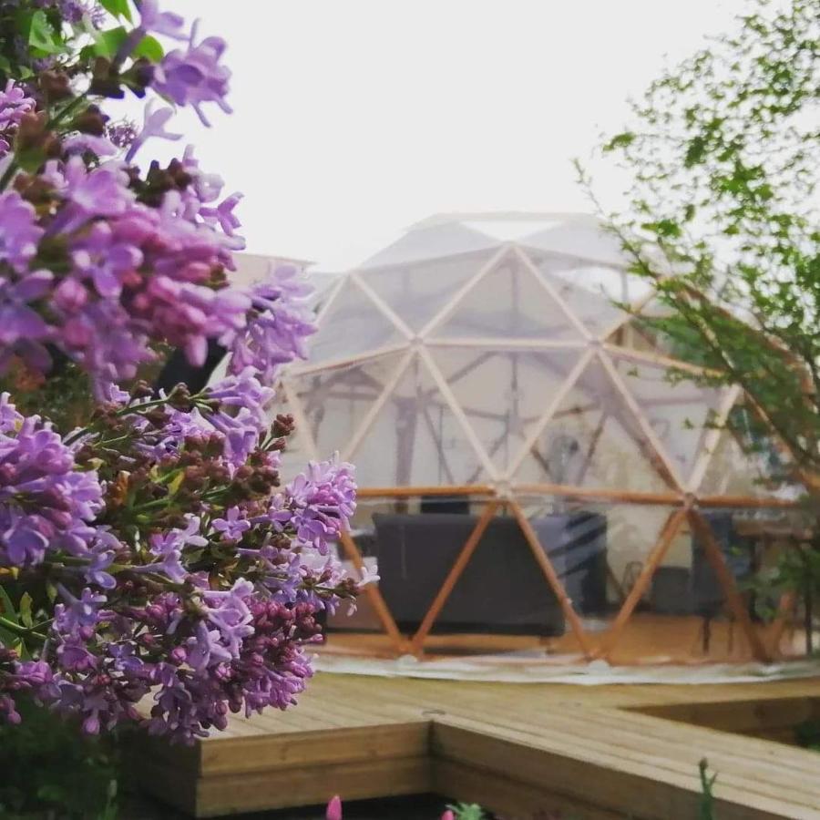 Le Dome Aux Oiseaux Bérig-Vintrange Exterior foto